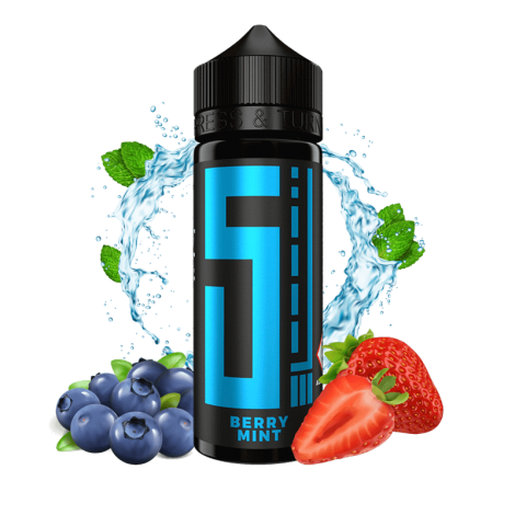 5EL Aroma Berry Mint - 10 ml Longfill